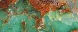 Polished Green Chrysoprase Slab - Western Australia #95224-1